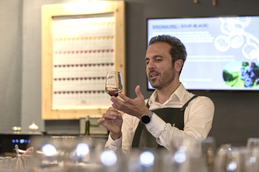 dim_P1079284 copy1.jpg